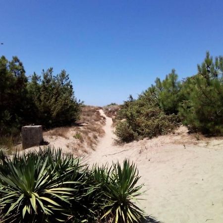 In parco naturale, con accesso diretto alla spiaggia Pisa Esterno foto