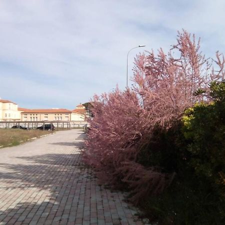 In parco naturale, con accesso diretto alla spiaggia Pisa Esterno foto