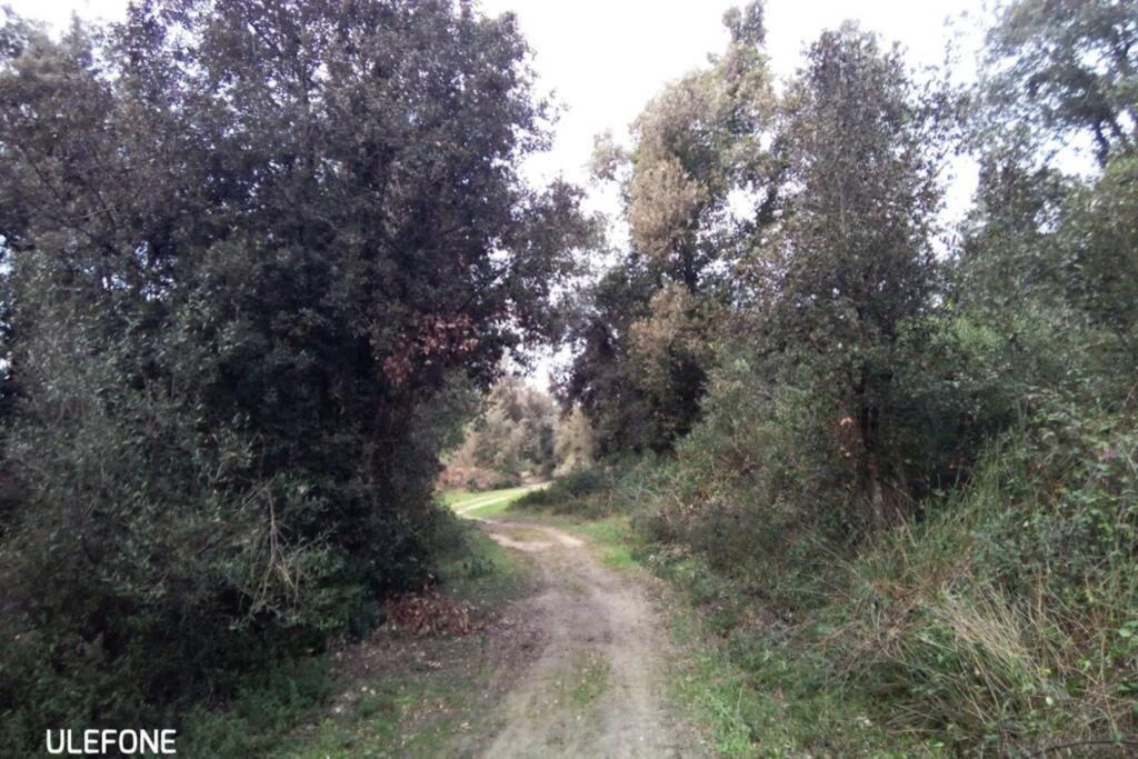 In parco naturale, con accesso diretto alla spiaggia Pisa Esterno foto