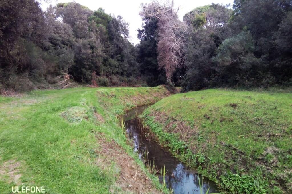 In parco naturale, con accesso diretto alla spiaggia Pisa Esterno foto