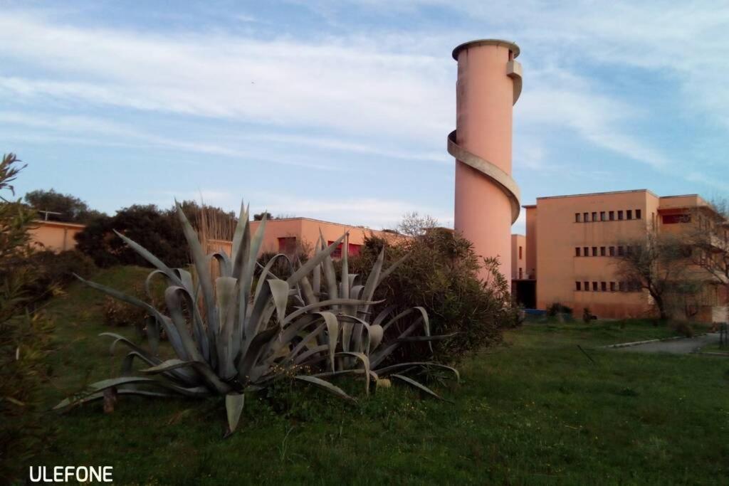 In parco naturale, con accesso diretto alla spiaggia Pisa Esterno foto